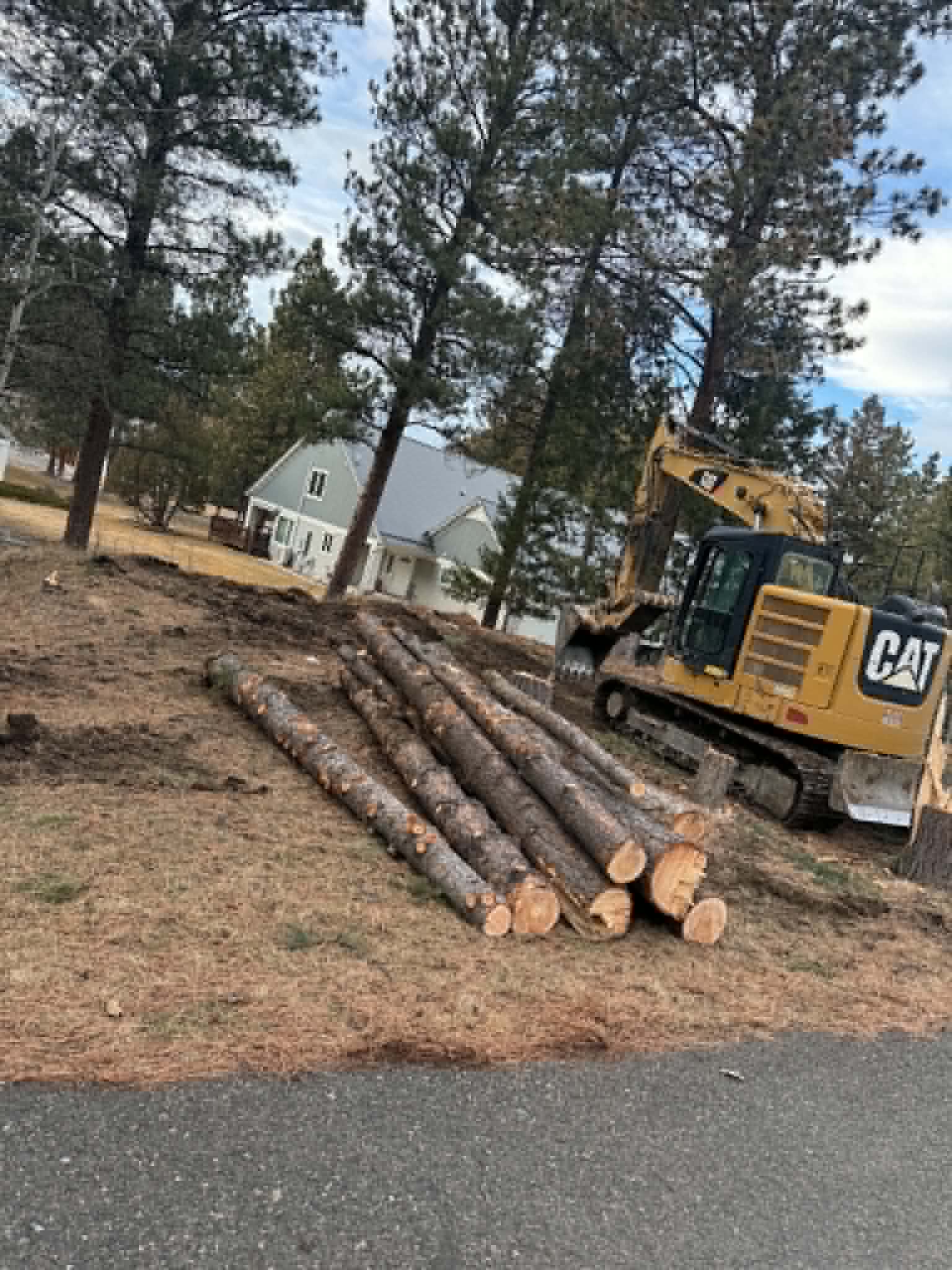 Land clearing with CAT excavator